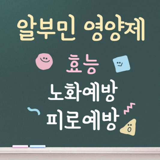 알부민 영양제 효능