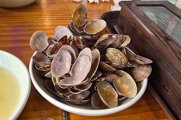 다 먹고 남은 바지락 껍질이 쌓여 있는 모습