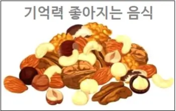 기억력 좋아지는 음식