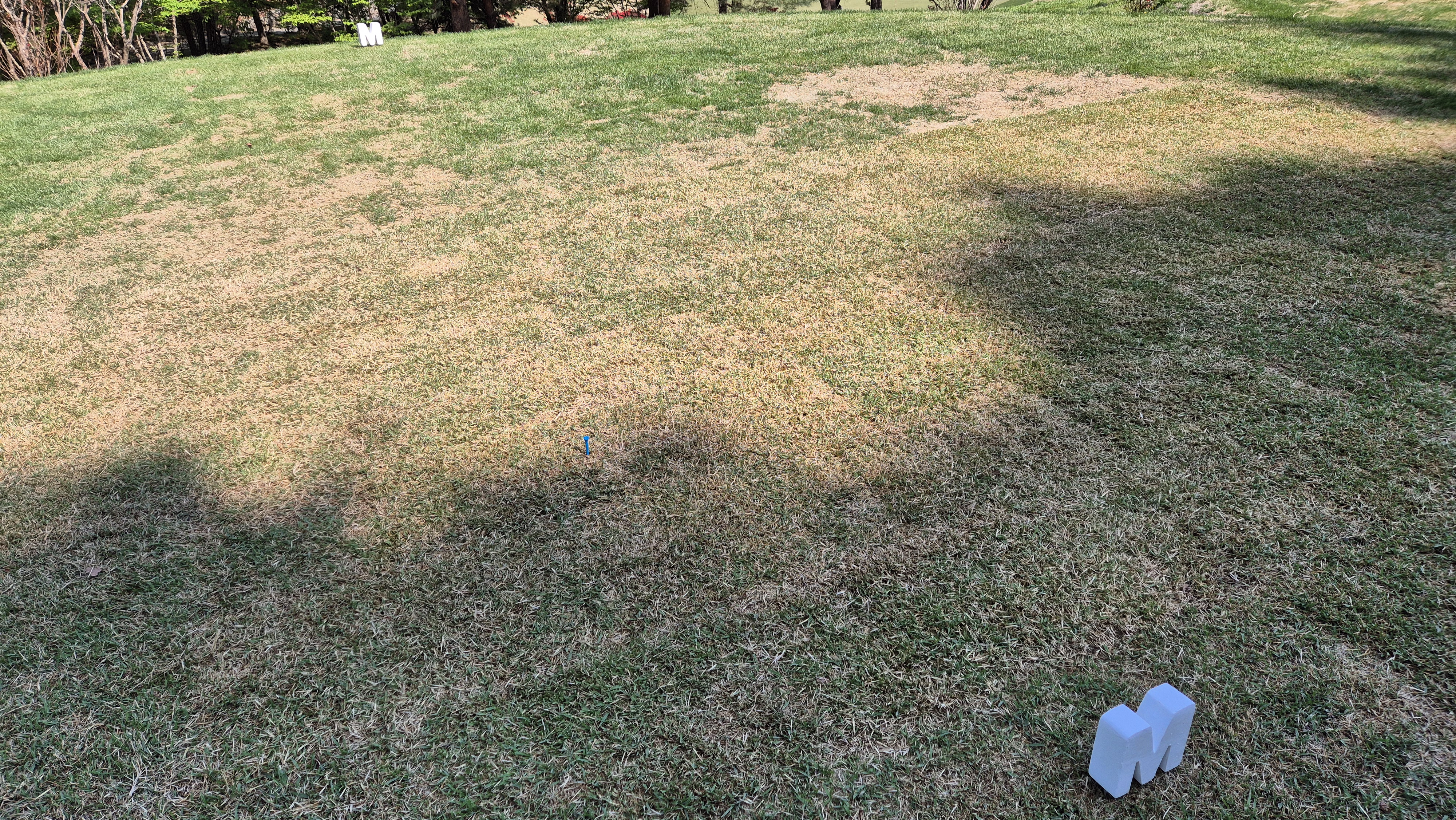 마에스트로cc 라운드 후기