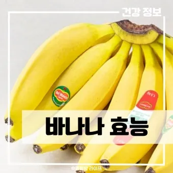 바나나 효능 식이섬유 포만감 운동 전후 효과_19