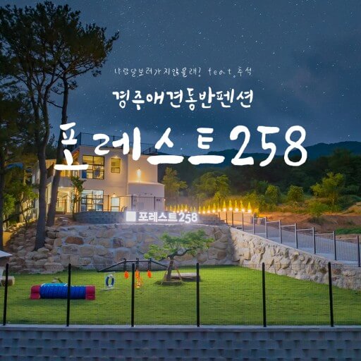 포레스트258