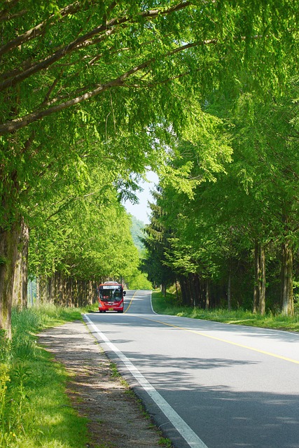 어디로든 그린카드