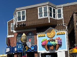 미국 한달살기 도시 선택 기준 (아이 동반 기준)