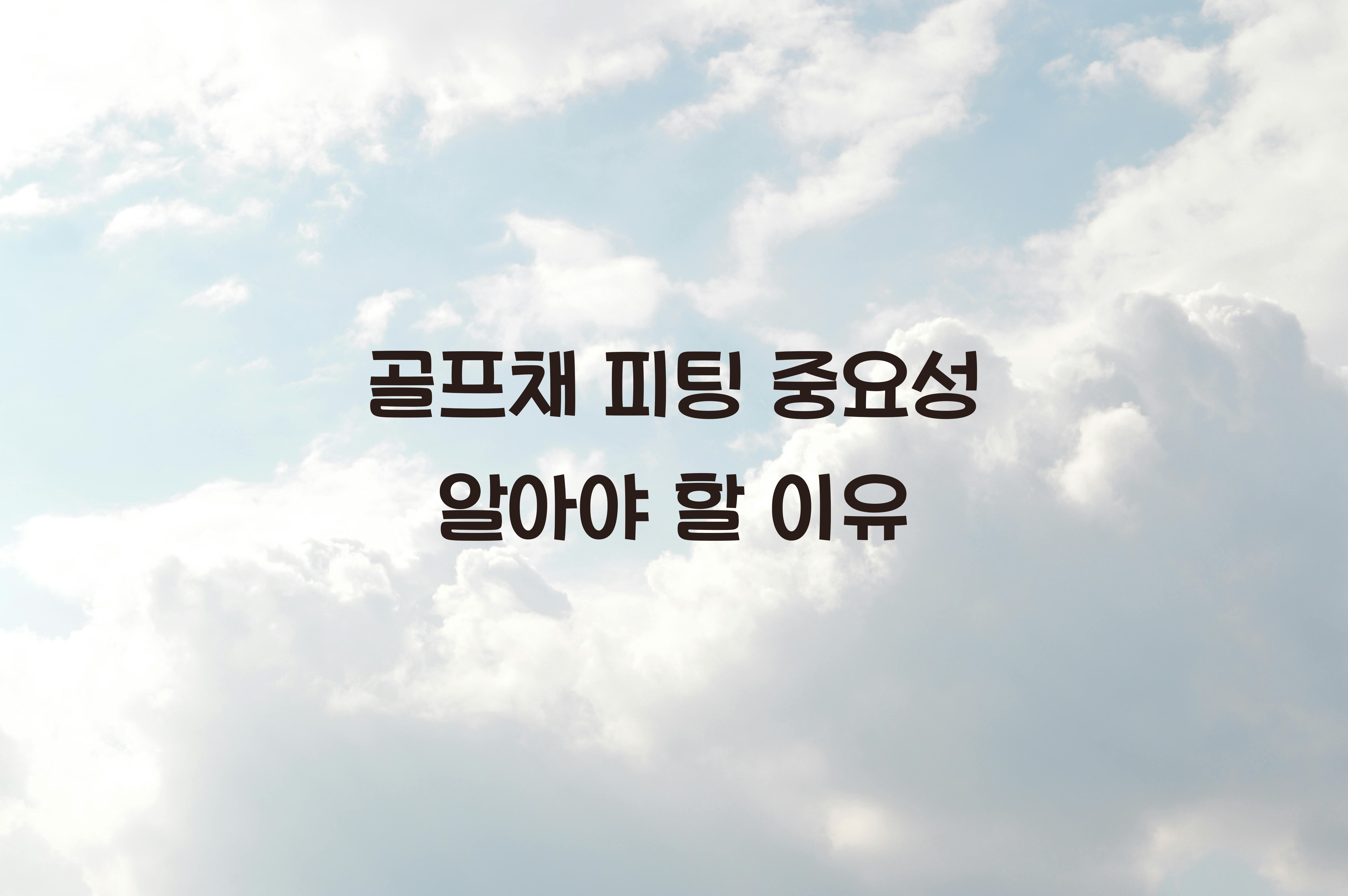 골프채 피팅 중요성