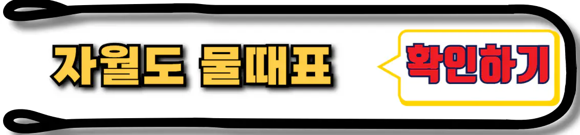 자월도 물때