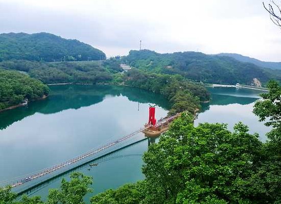 충남 청양군 정산면 천장호 출렁다리