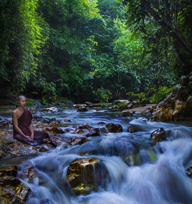 수기요법과 약물요법