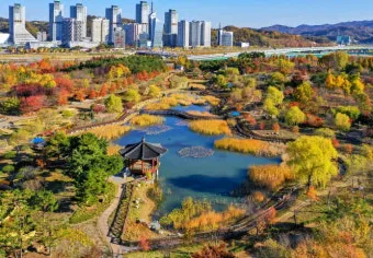 나는 빛나는 별처럼 느꼈습니다 한밭수목원 클레마티스 전시회 관람기_3