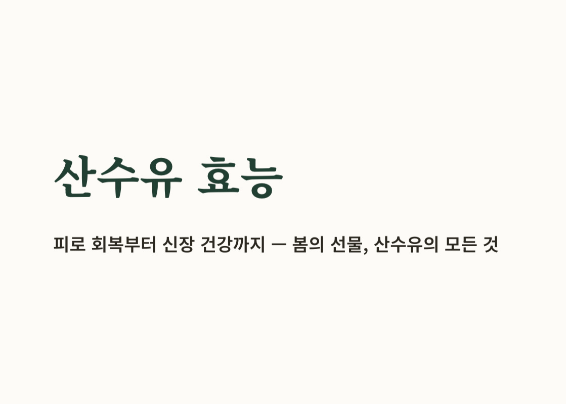 산수유 효능