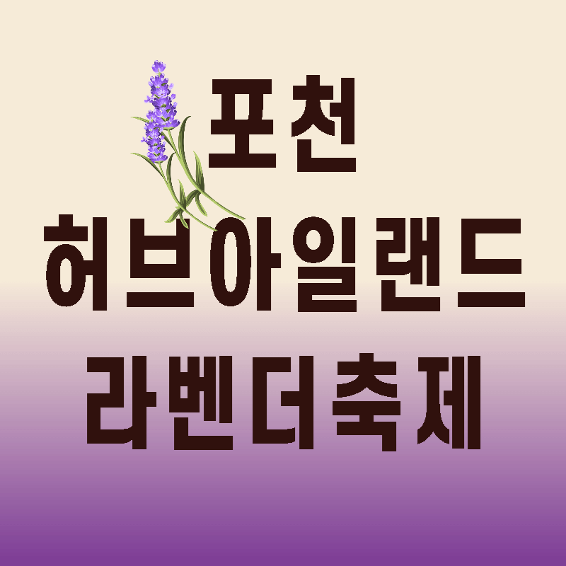 포천허브아일랜드라벤더축제