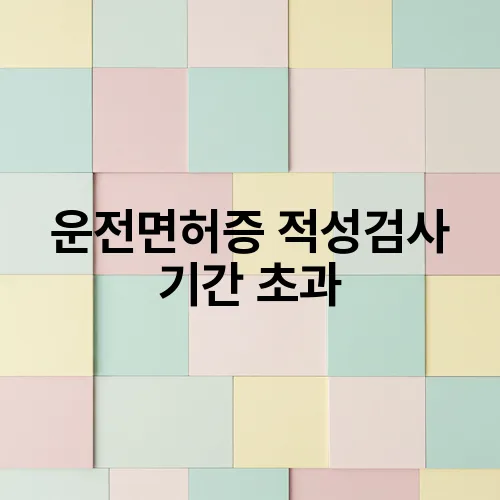 운전면허증 적성검사 기간 초과