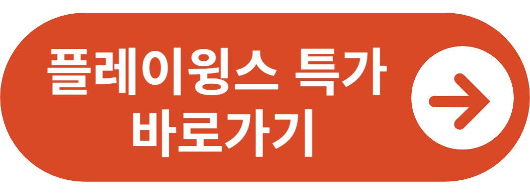 플레이윙스 특가 바로가기