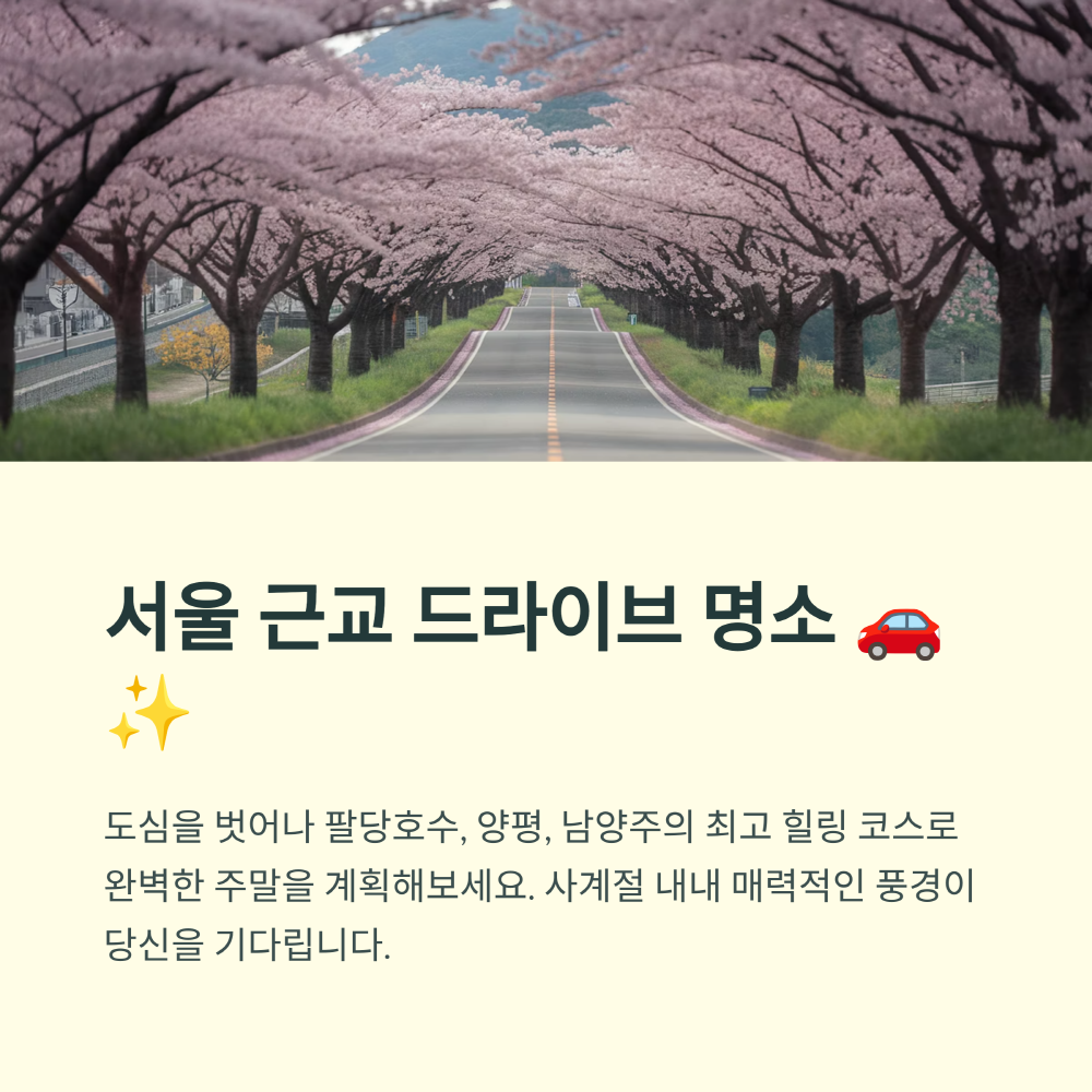 벚꽃 만개한 드라이브코스