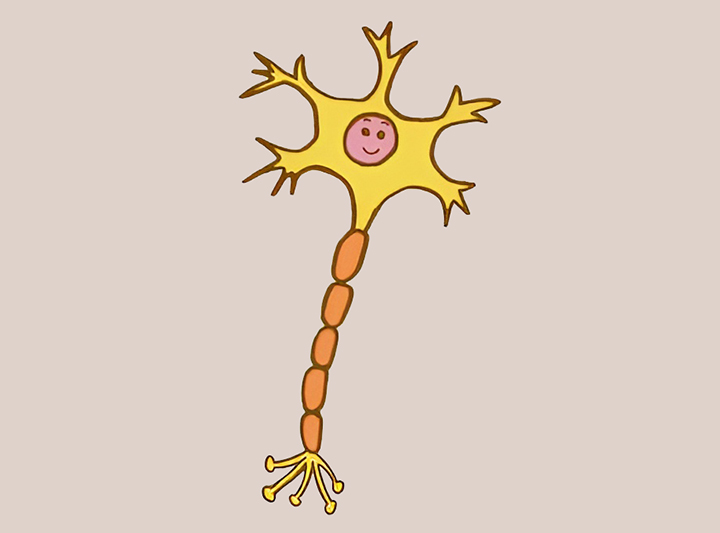 신경이-손상된-모습