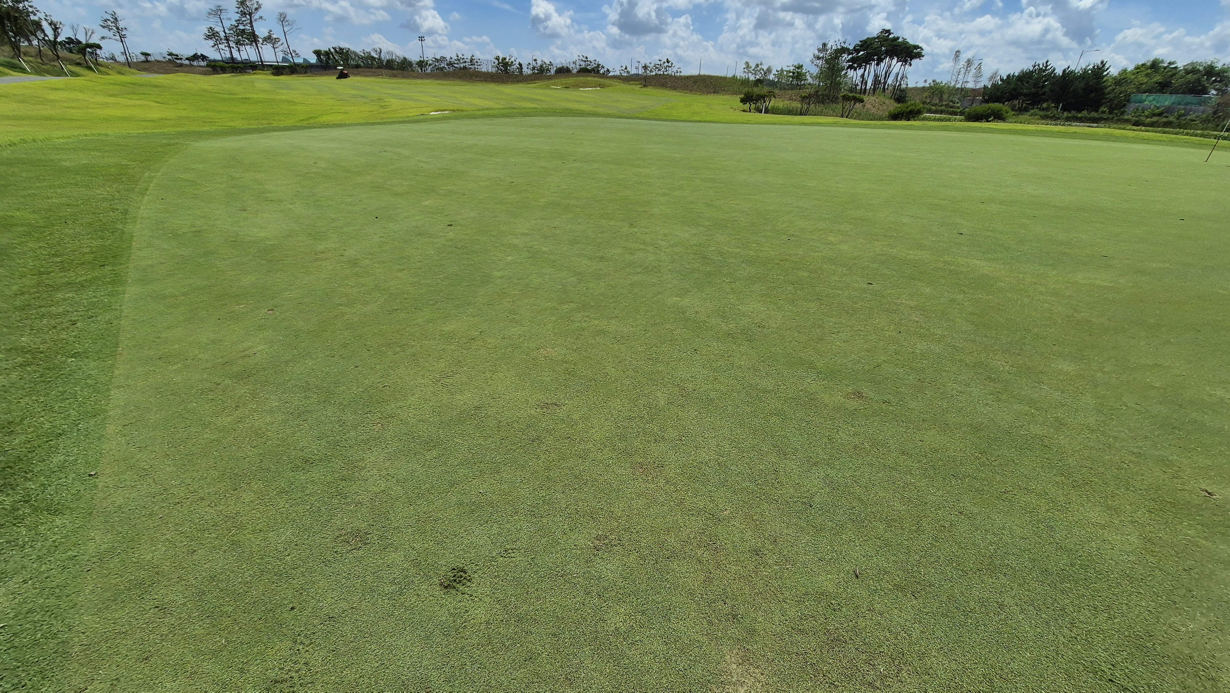 플라밍고cc 듄스-링크스 코스 라운드 후기