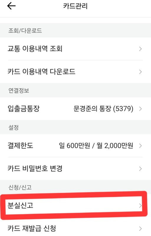 카카오체크카드 분실신고방법 5