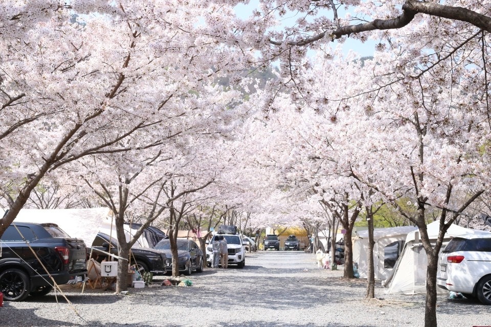 경남 밀양표충오토캠핑장 소개