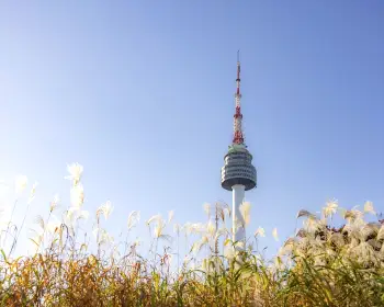 남산타워_3