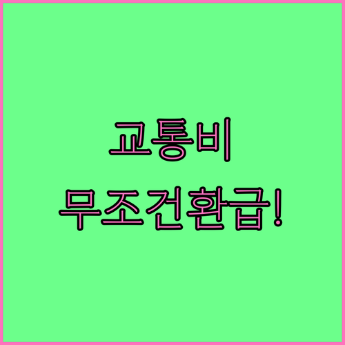 대중교통비 절약법 K패스 환급 비율과..