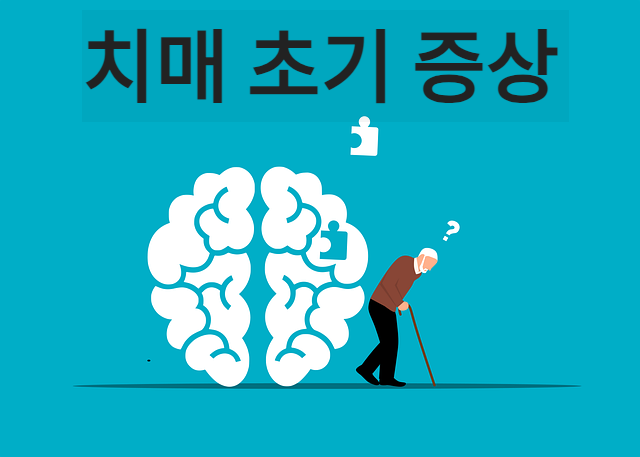 치매 초기 증상