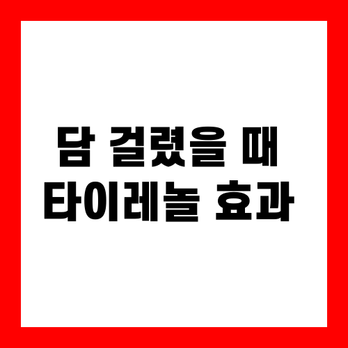 담 걸렸을 때 타이레놀 효과