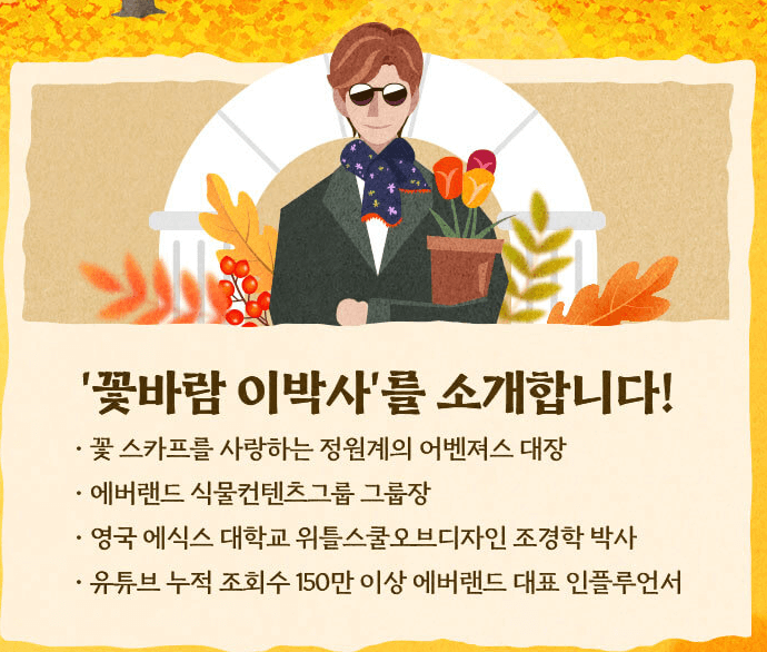  에버랜드 은행나무 숲