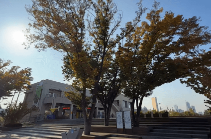 서울 도심 속 단풍 카페거리 추천! 낭만 가득한 가을 데이트 코스 4선