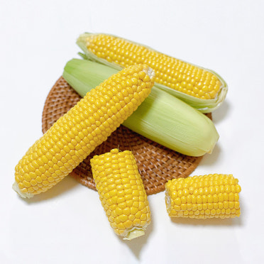 초당옥수수란? 유명 산지(의령&amp;#44; 밀양 등)