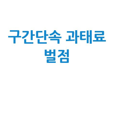 구간단속 위반범위 과태료 벌점 기준 완벽 정리