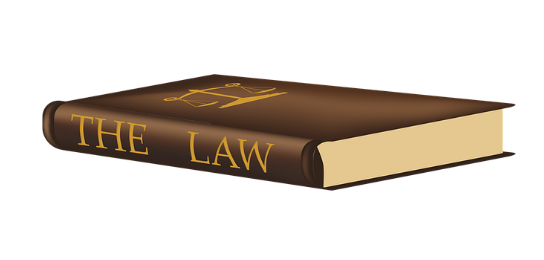 법률