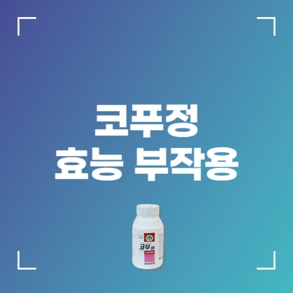 코푸정 콧물 효능 복용법 부작용 주의사항