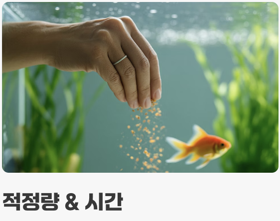 작은 입에 쏙! '먹이' 주는 요령