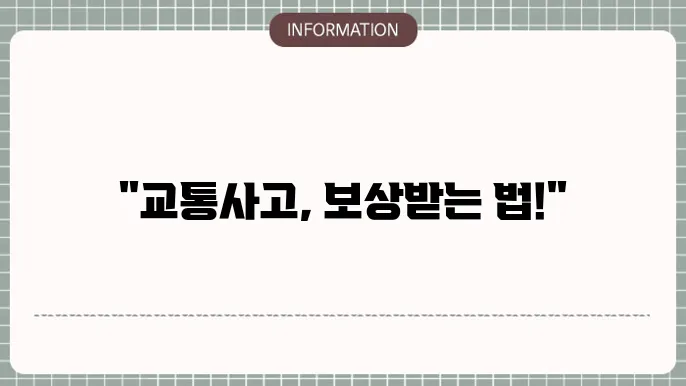 교통사고 운전자보험 교통사고지원금 지원금 신청 및 지급 기준