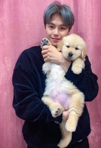 박은석 반려견