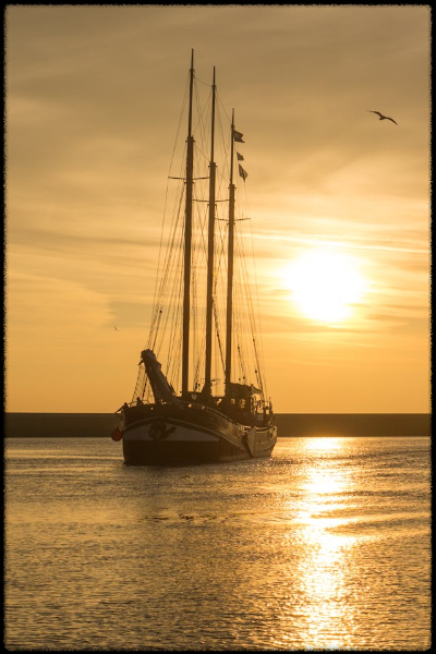 바다의 잊힌 영웅들: 영광스러운 6월 1일 해전