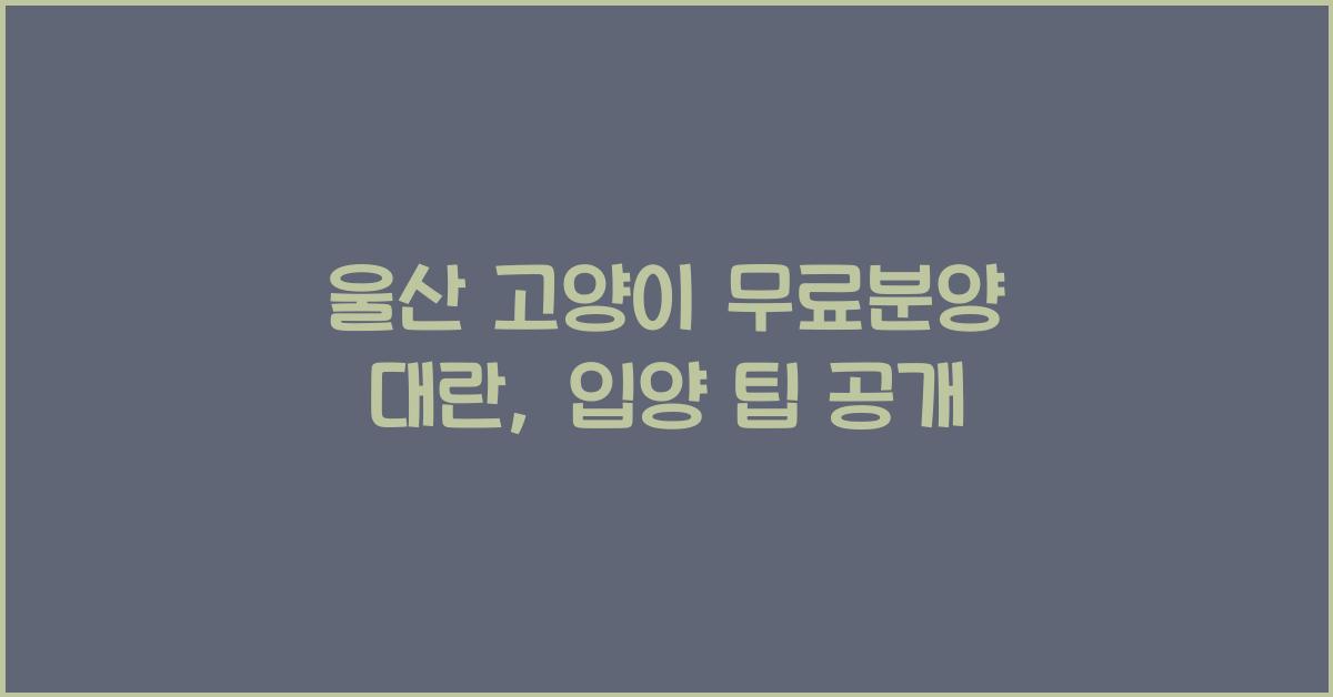 울산 고양이 무료분양