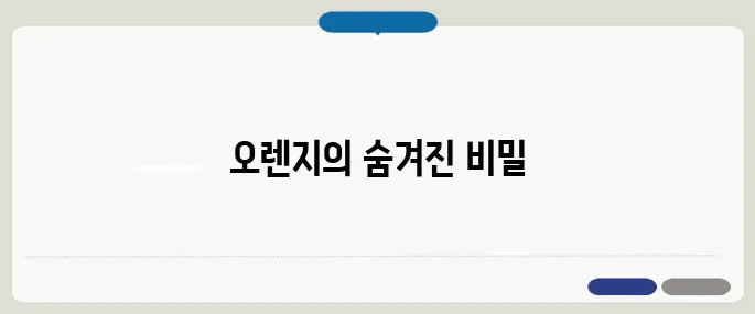 오렌지 효능 하루 한 개가 만든 기적