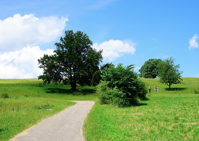 2025 함평 나비대축제