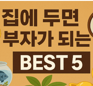 집에두면부자가되는물건