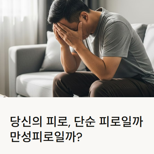 만성피로 환자들이 주로 호소하는 증상