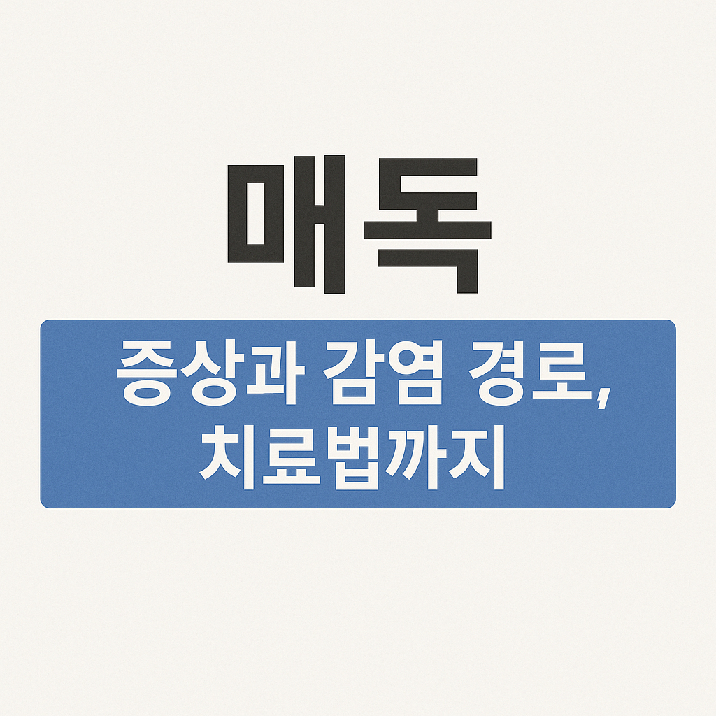 매독 증상과 감염 경로, 치료법까지 요약한 텍스트 중심의 썸네일