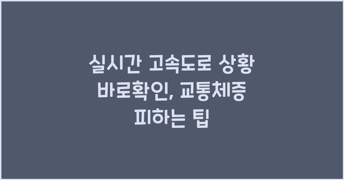 실시간 고속도로 상황 바로확인