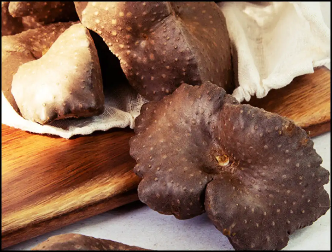 하늘마 효능과 부작용