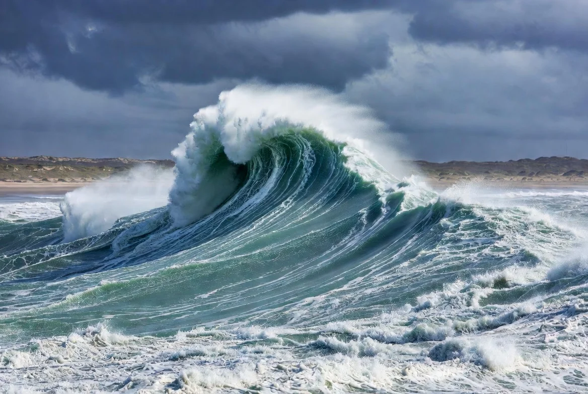 큰 파도의 모습