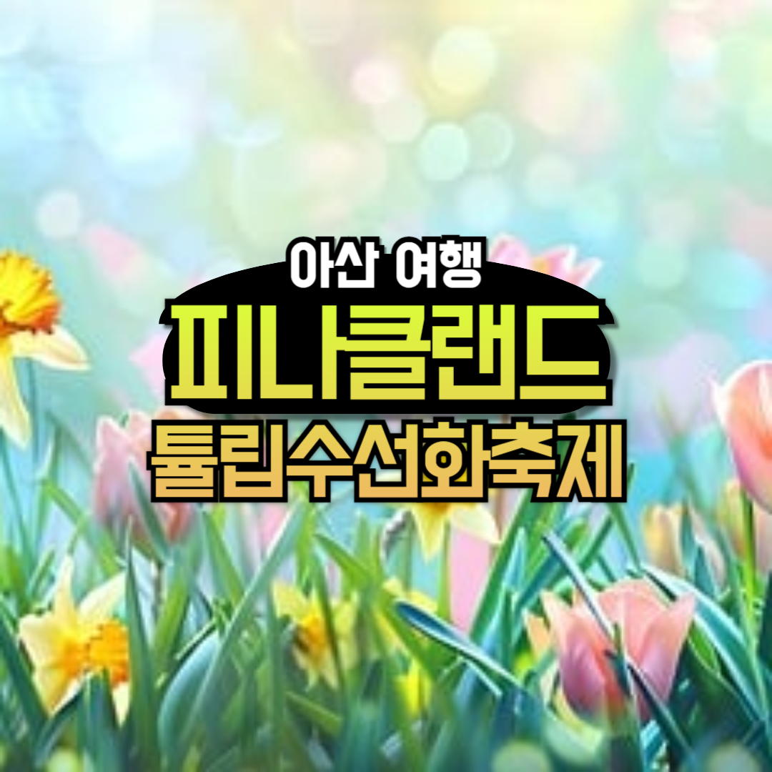 억만송이 봄꽃대향연 튤립 수선화 축제 기본정보 피나클랜드
