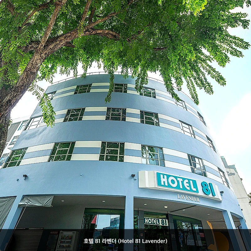 호텔 81 라벤더 (Hotel 81 Lavender)_1