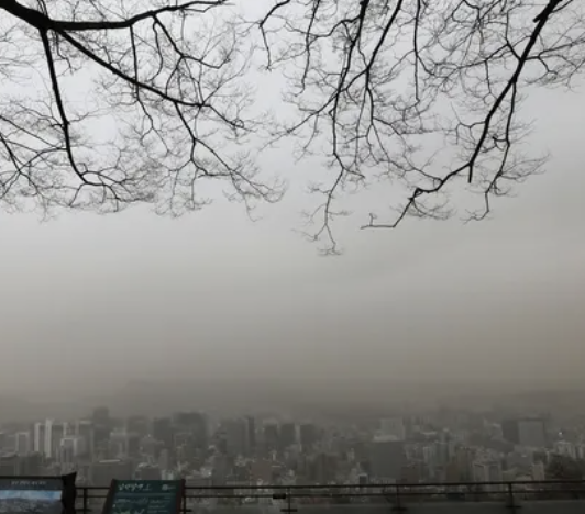 황사 영어로