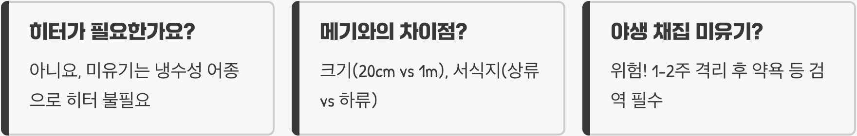 미유기 키우기 A to Z (어항, 먹이, 수질 관리)