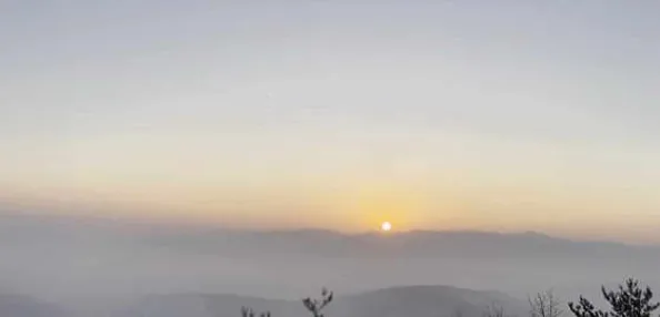 도시산림공원토리숲